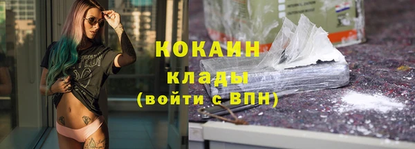 дурь Заводоуковск