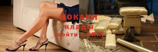 дурь Заводоуковск