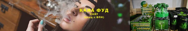 дурь Заводоуковск