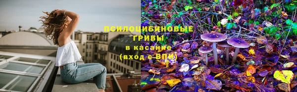 спиды Зерноград