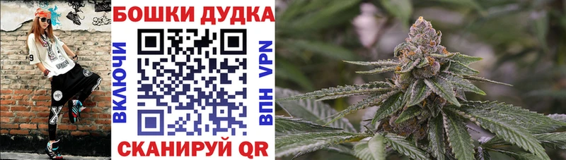 где можно купить наркотик Кувшиново Марихуана индика